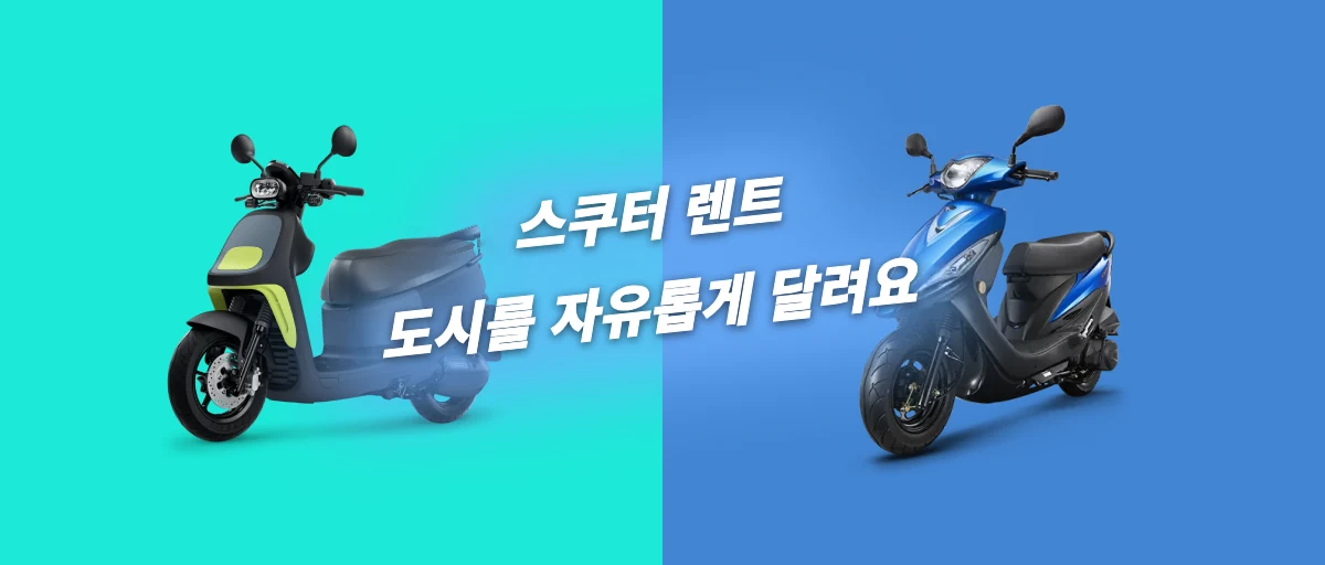 할인 정보-66